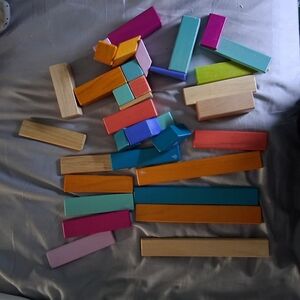 Colorful Wooden Tegu Building Blocks Set